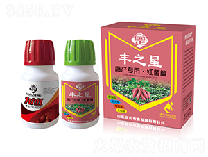 紅薯高產(chǎn)套裝-豐之星-正能量