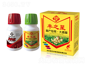 大姜高產(chǎn)套裝-豐之星-正能量
