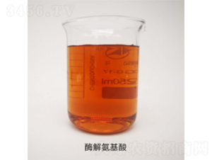 酶解氨基酸-博潤科技