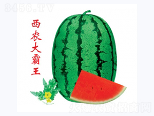 r-ϷN-ؼtNI