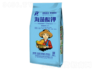 20kg-