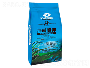 40kg-