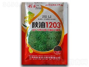 1203-ʺ-βrI(y)