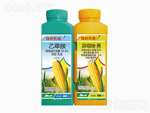 50%異噁唑·莠懸浮劑+81.5%乙草胺-鋒剎先鋒-金爾農(nóng)化