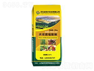 片狀腐植酸鈉-恒興科技