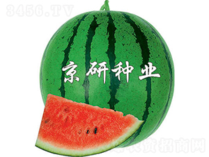 4̖-ϷN-зNI