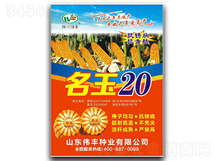 20-׷N-SNI