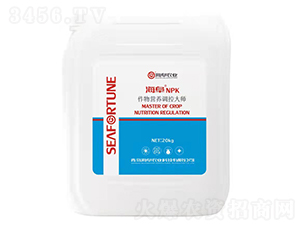 20kgIB{ش150-150-150-rI