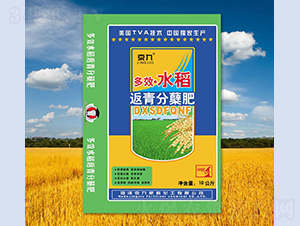 水稻返青分蘗肥-京九