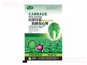 30g白菜甘藍防腐包心劑-榮耀農業