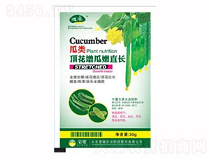 30g瓜類頂花增瓜嫩直長-榮耀農業