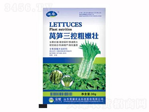 30g萵筍三控粗嫩壯-榮耀農業