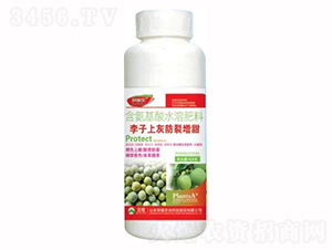 500g含氨基酸水溶肥料-李子上灰防裂增甜-榮耀農業