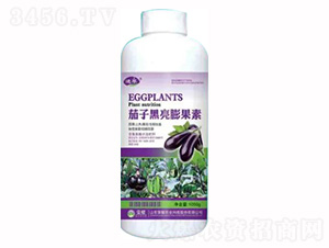 1000g茄子黑亮膨果素-榮耀農業
