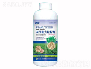 1000g花生膨大粒粒飽-榮耀農業