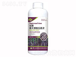 1000g甘蔗膨大增粗拉直靈-榮耀農業