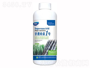 1000g甘蔗壯苗1號-榮耀農業