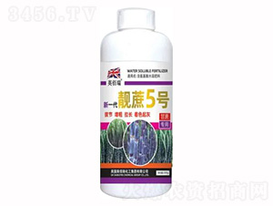 1000g新一代靚蔗5號-榮耀農業