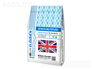 Ӣ(gu)UK-Cardiffî1̖(ho)ˮܷ19-19-19+TE-Ϸ 