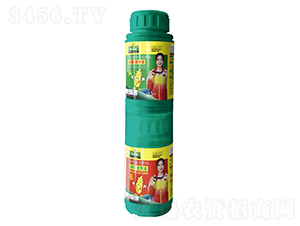 ѡSA+B-ڱ