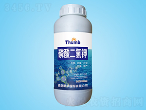 1000ml-rI
