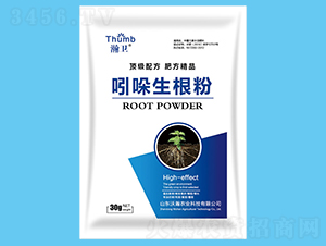 300g-l-rI