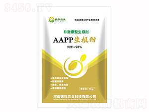 Ǽ-AAPP-\rI