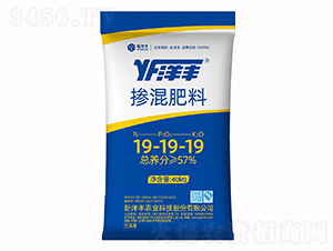 19-19-19-SʘI