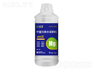 1000gǴV-Z