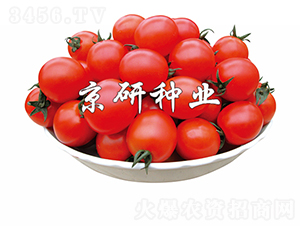8̖-ѷN-зNI