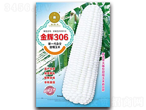 x306-׷N-ANI