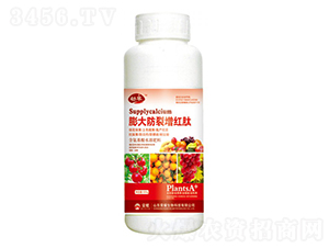 tģ500g--sҫrI