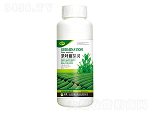 ~ѿ`500g--sҫrI