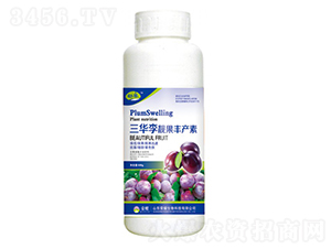 AnSaأ500g--sҫrI