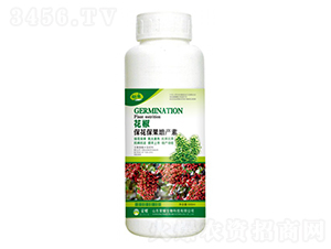 aأ500g--sҫrI