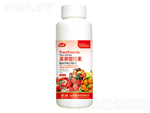 tأ500g--sҫrI