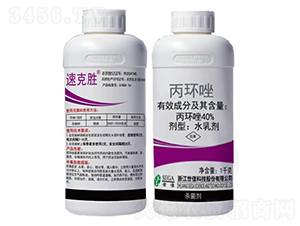 40%hˮ鄩-ٿ˄-