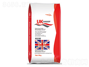 Ӣ(gu)UK-CardiffϷ-Ϸ 