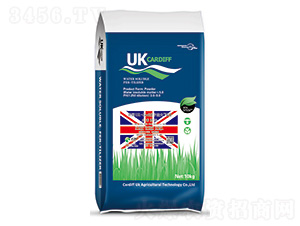 Ӣ(gu)UK-CardiffϷG2-Ϸ 