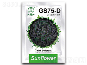 GS75-D-ͿN-NI