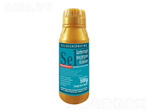 500SֱG1̖(ho)-r(nng)