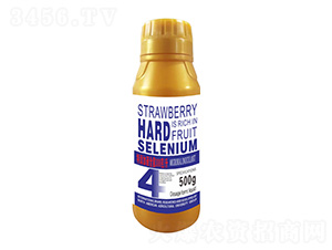 500˲ݮӲ4̖(ho)-r(nng)