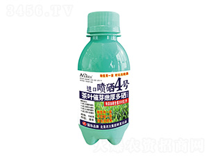 100˲~ѿۺM(jn)ڇ4̖(ho)-r(nng)