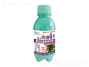 100Sֱ۾GM(jn)ڇ4̖(ho)-r(nng)